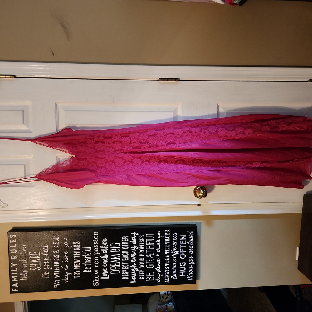 Pink Nightgown Pollinaise Peignoir